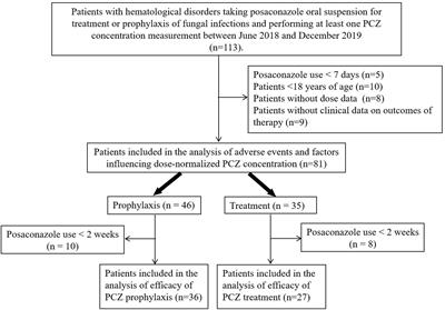 Deciphering the Relationship Between the Trough Concentration of Posaconazole and Its Efficacy and Safety in Chinese Patients With Hematological Disorders